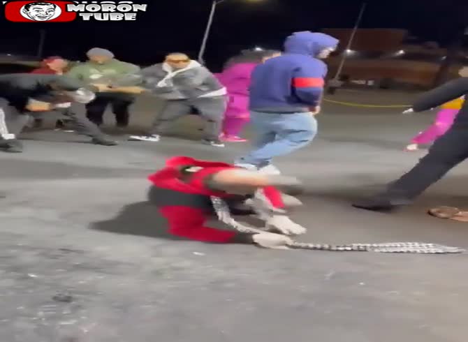 Video :Fight over an unpaid lunch at a food truck